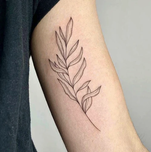 AKuTattoo