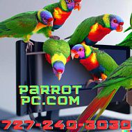 ? PARROT PC: ПОЛЛИ ХОЧЕТ ИСПРАВИТЬ?