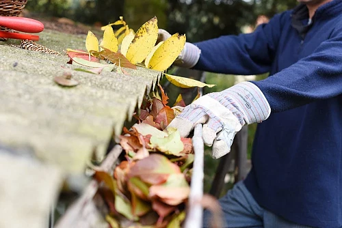 Spring Special! Gutter Cleaning For ANY Size Home! Now Only $80!!!
