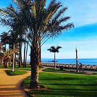 American Riviera Tours