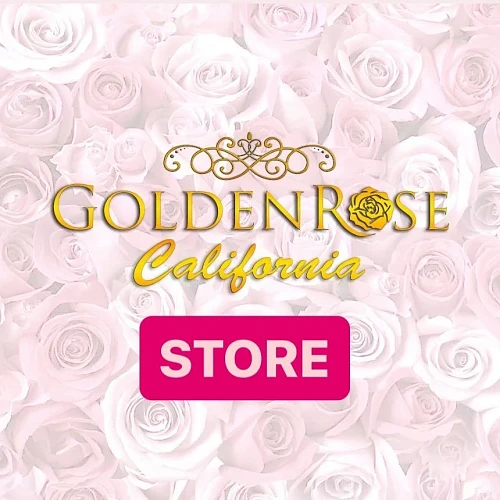 Golden Rose