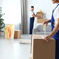 Sylwester Szkotak, Moving