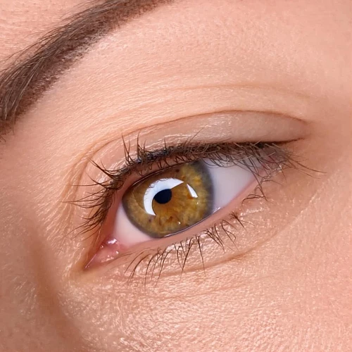 Alina, Permanent | Removal | Lashes | Lift Brows