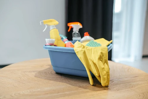 Maria, Cleaning Services