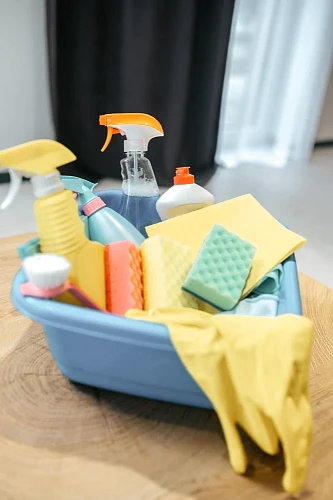 Tatiana, Cleaning Service