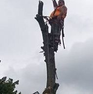 Компания Johns Complete Tree Service, застрахована. Телефон: 216-855-6612