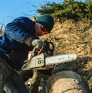 Removing Emergency Trees
