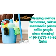 Gulya, Cleaning Service