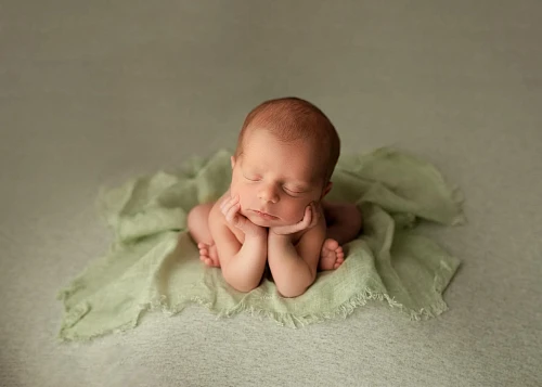 Alena, Photographer