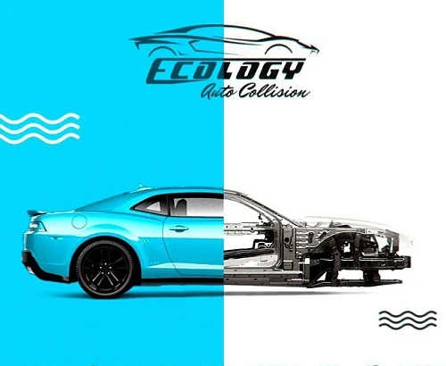 Ecology Auto Collision