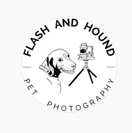 Flash and Hound Pet Photography
