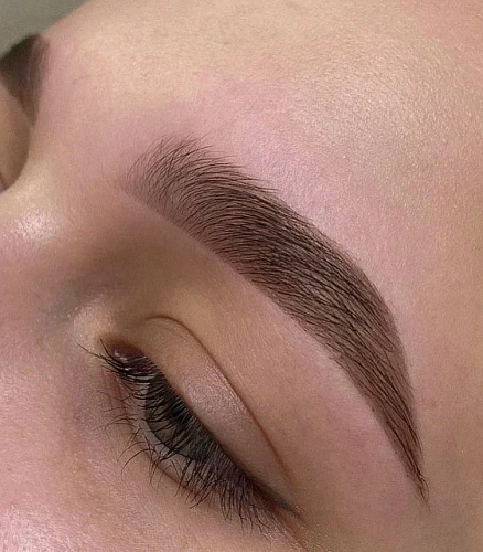 Brow Wax & Shape - Brow Tint - Brow Lamination