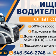 Зарабатывайте $3k+ в неделю 